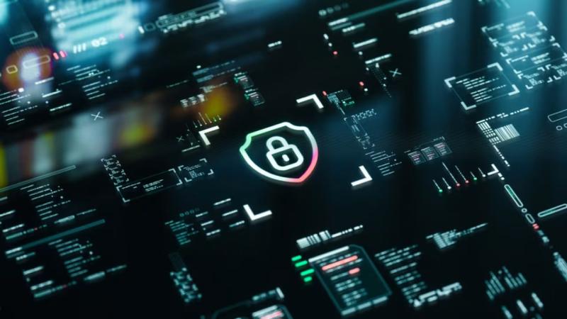 团风县软件开发公司